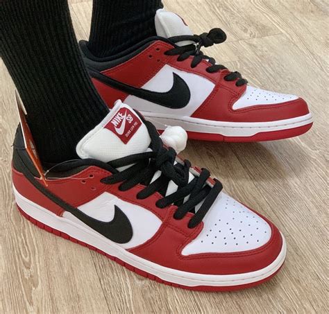 highest bugback Nike dunk low